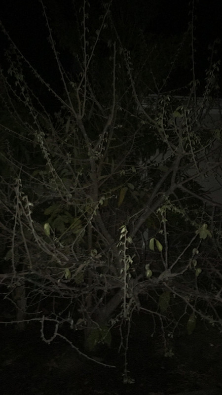 AA241A28-B61D-4990-9400-546821CE49F0