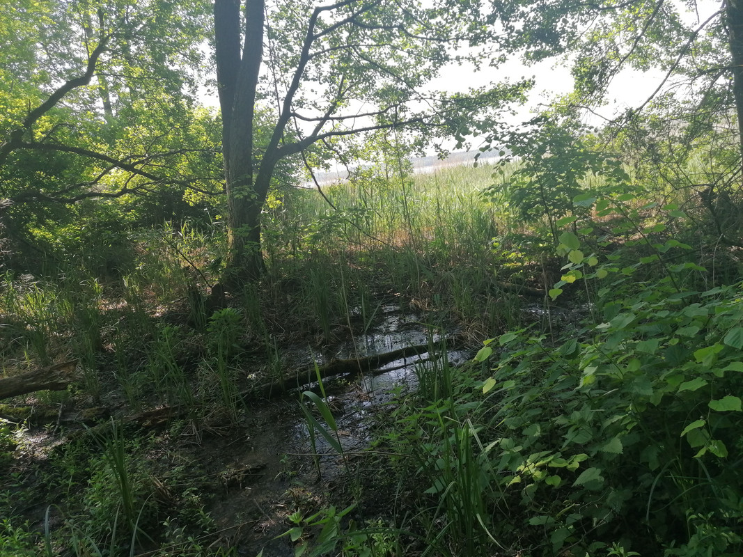 09.22 - IMG_20210604_100416 (Czesio1)