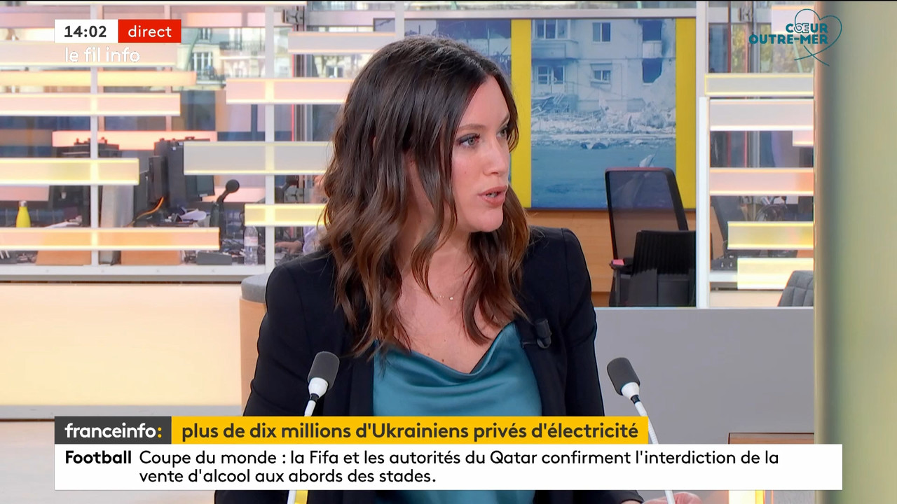 Le fil info 14h 2022_11_18_12_59_00.ts_snapshot_00.06.10.016