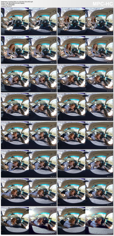 Sucking Dick on a Sunday Drive 6K.mp4_thumbs_[2020.04.22_17.10.12]