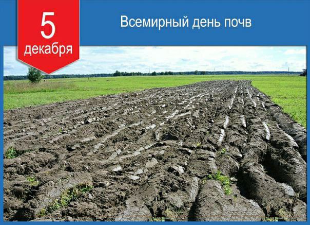 IMG_20231205_124337_863