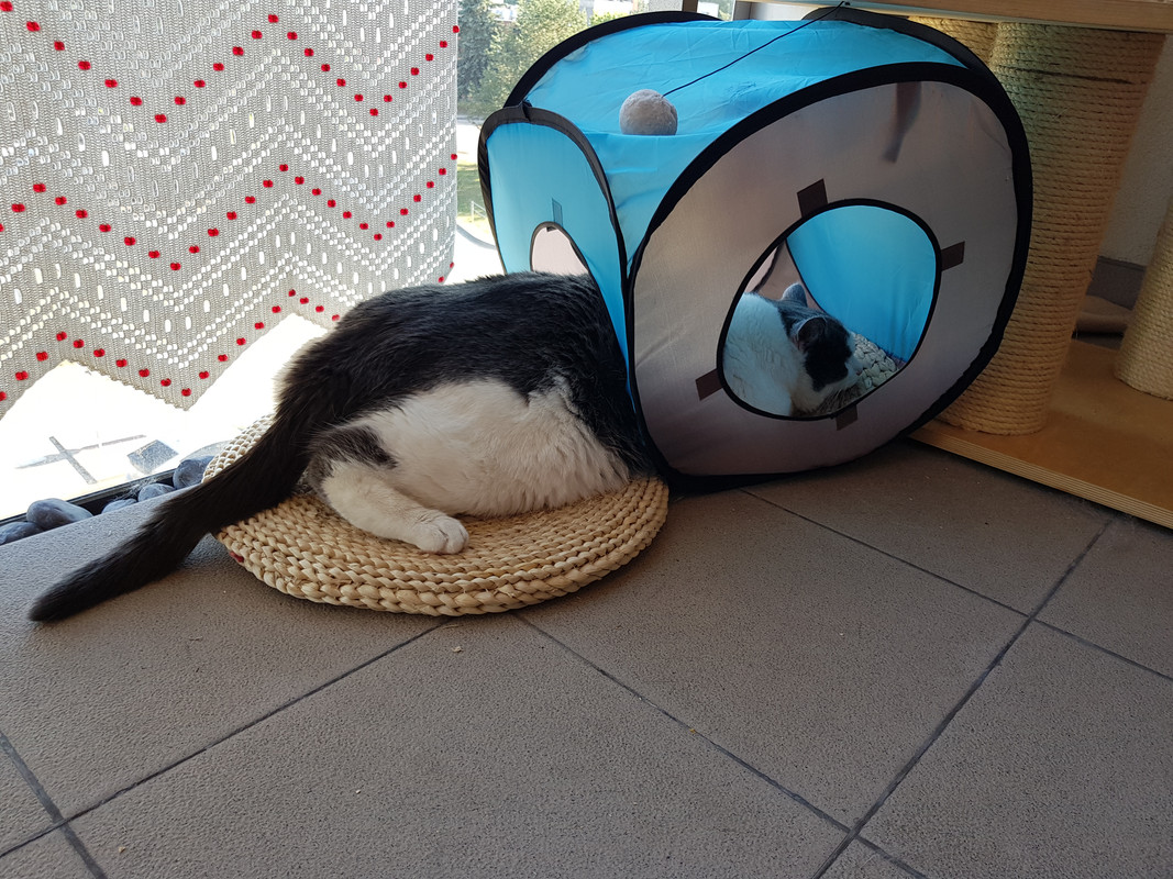 20190622-185730.jpg