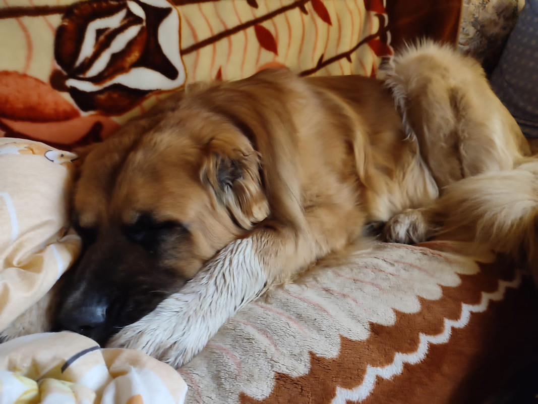 4BFAB862-A4FF-4316-8D90-55713FFC6552