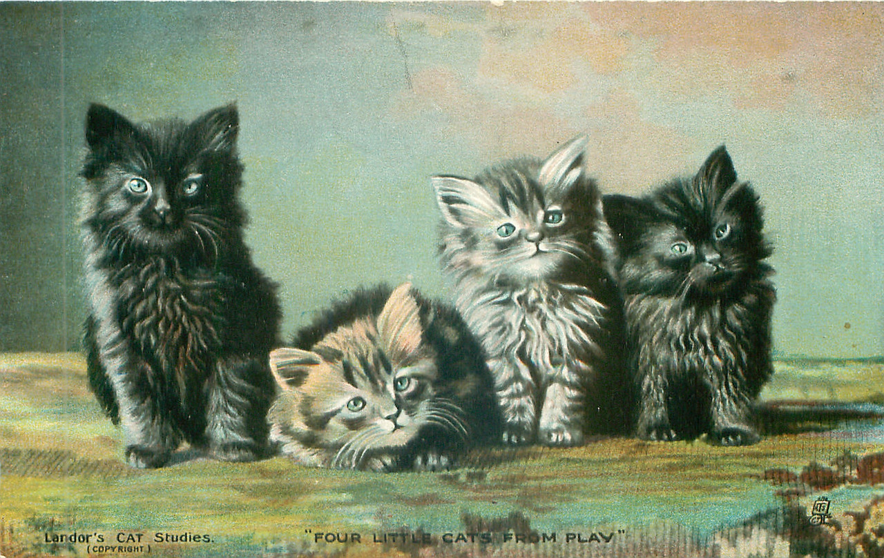 12-2011-06-15-17-29-37-000