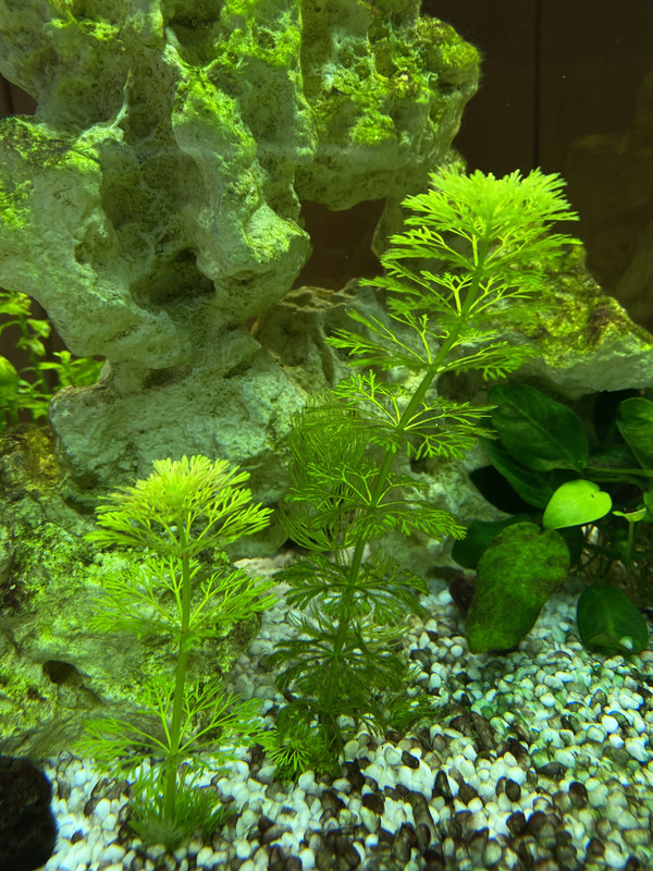 DC6AF466-79F2-4415-8BB3-E3CFF5151D67