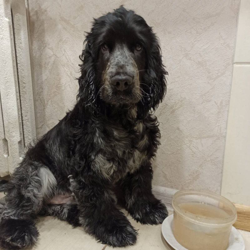 IMG-b5b0e8ee31eeae345ad50ac7343dc8d8-V