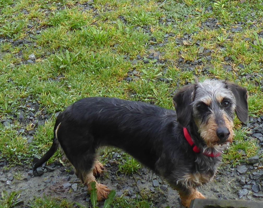 [Image: P1040701.jpg]