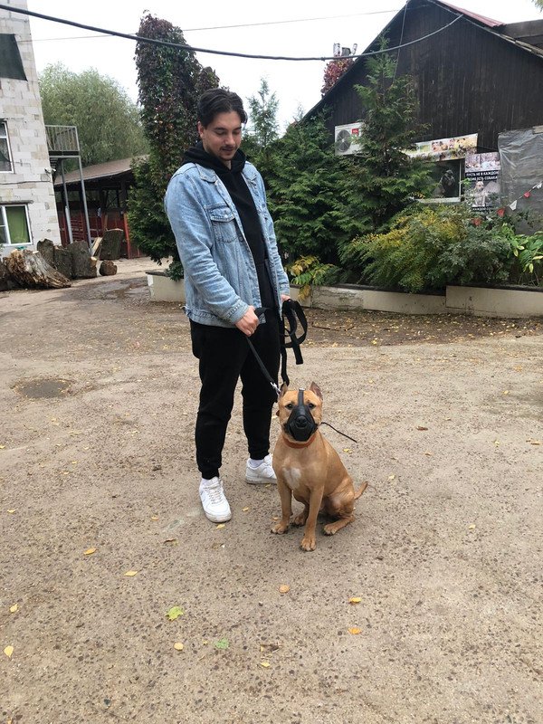 ED5DD959-1B0C-40C5-8B9A-C6D4FE5AFA6E