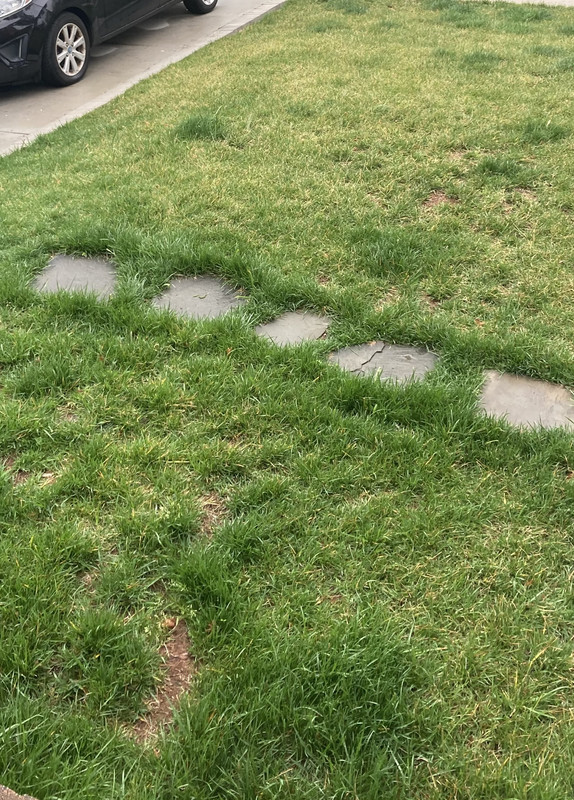 71DED6B0-D56F-4DAF-9D5A-D4B1184BA2EC