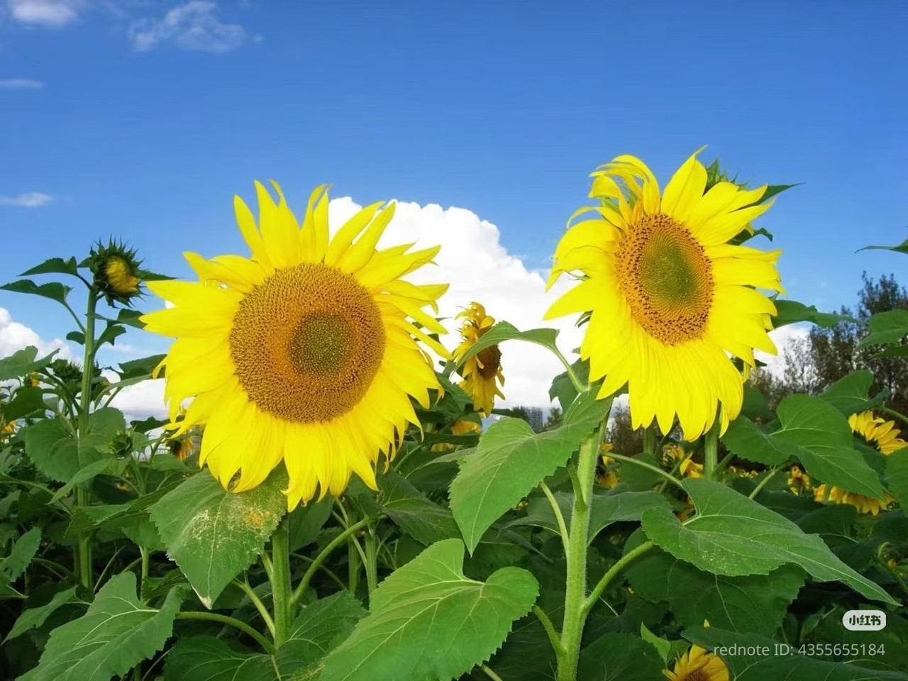 photo 23 2026 01 03 21 17 28