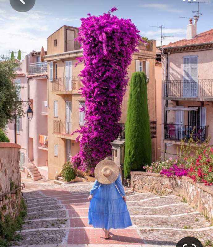 Screenshot_20230614_011056_Pinterest