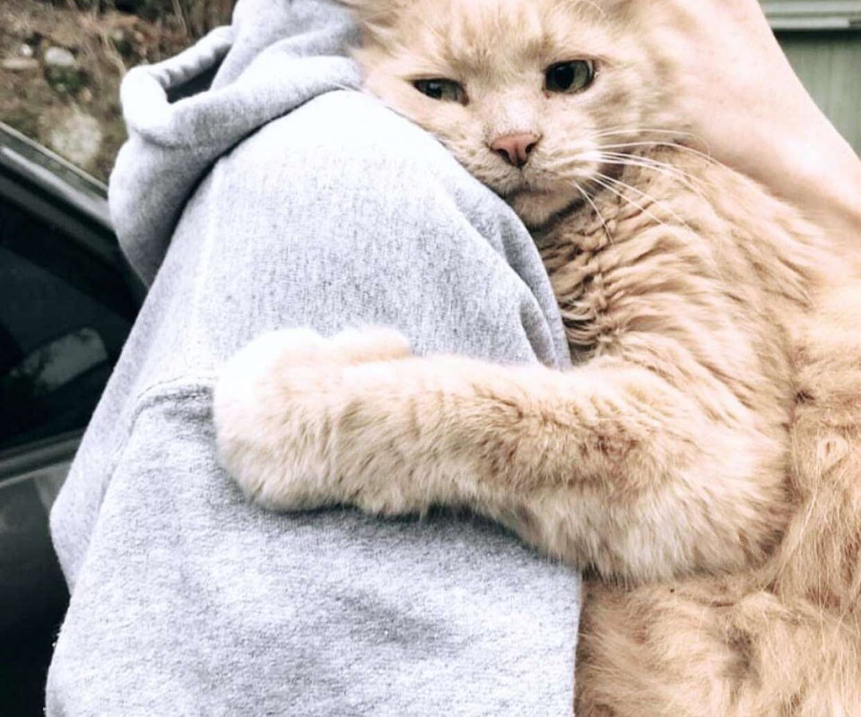 BD96D242-2EBA-43C4-89DF-5475CF9CF213