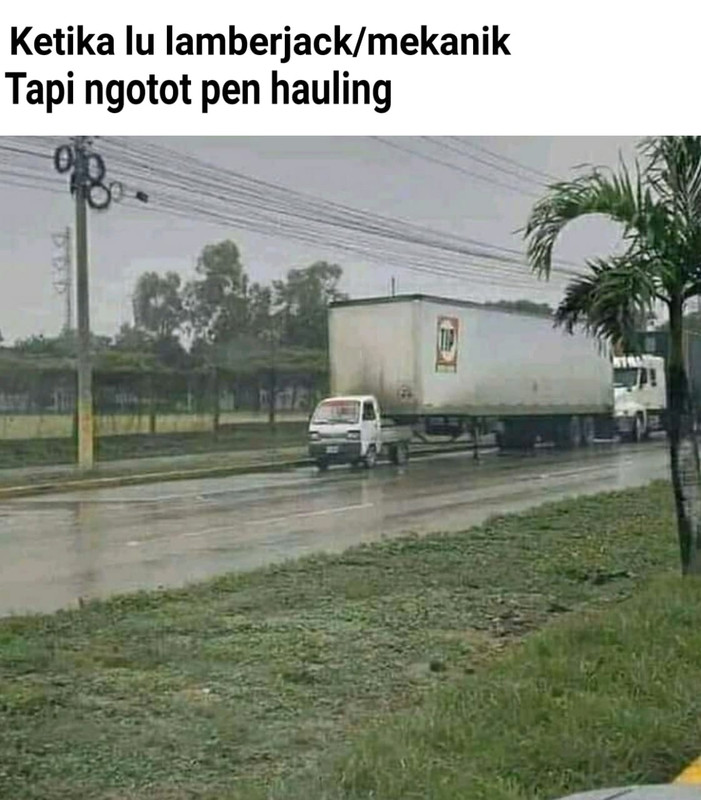 index.jpg