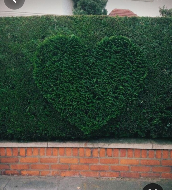 Screenshot_20240212_003020_Pinterest