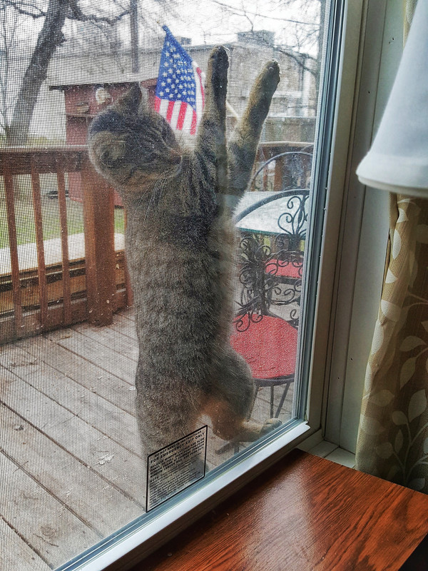 20180120_165422-01-01