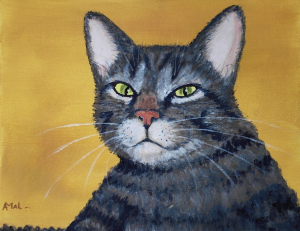 06-cool-cat-anastasiya-malakhova-005