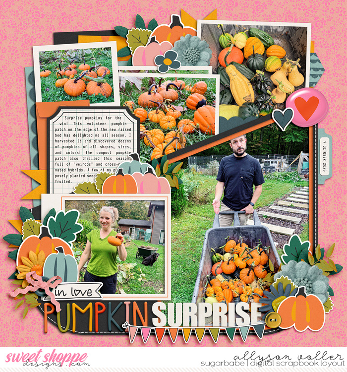 allyanne-Hey-Pumpkin-WM.jpg