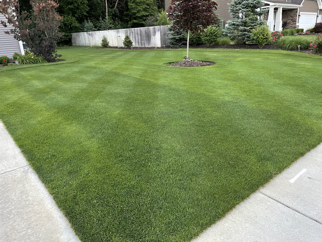 33D42F44-DA00-43A0-B5AB-01ED3DC78256