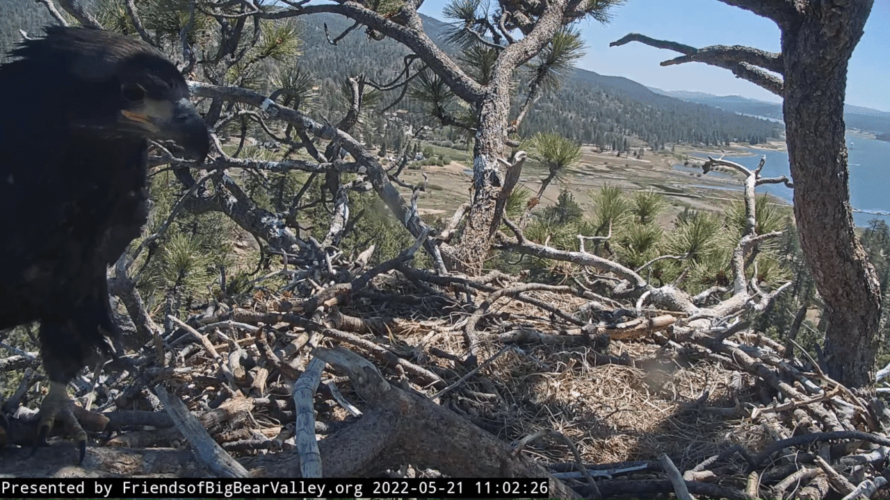 Webp.net-gifmaker (8)