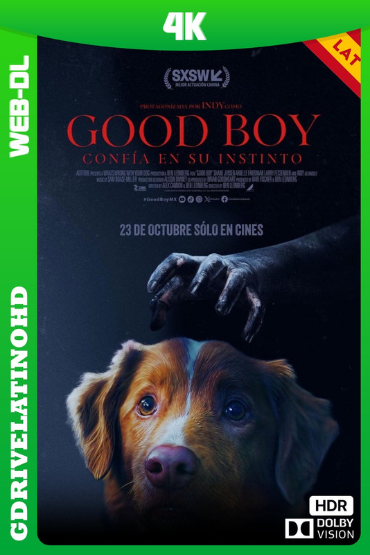 Good Boy (2025) WEB-DL 4K HDR + DV Latino-Inglés