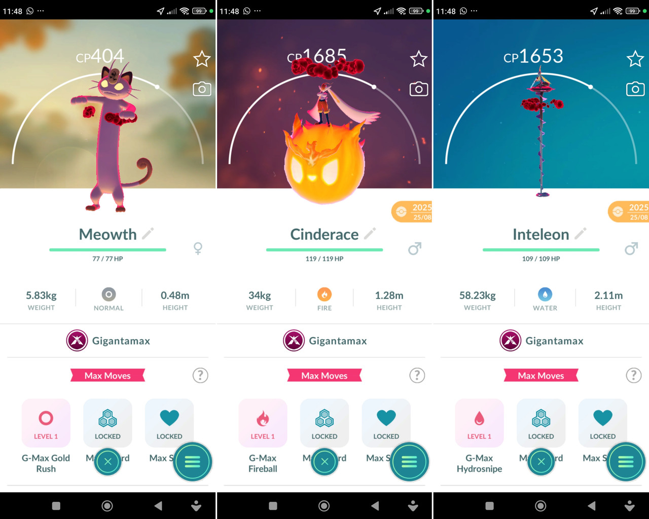 Polish 20260224 115701519