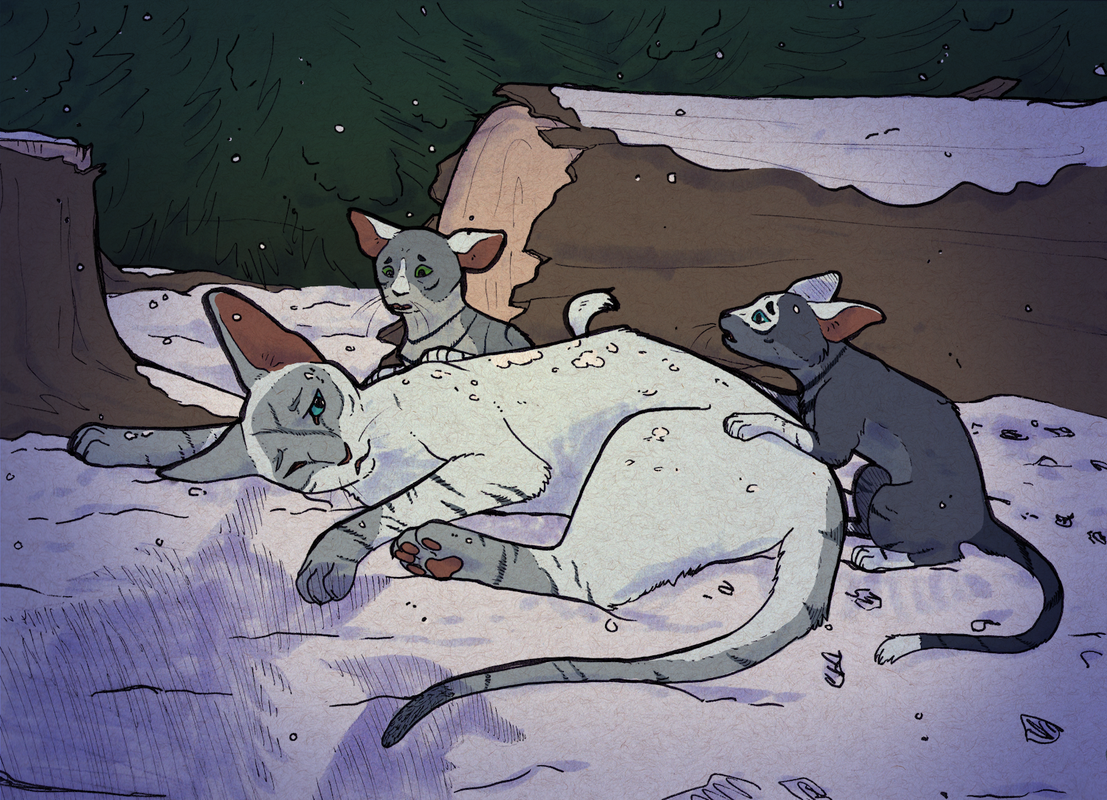 sadmeow.png