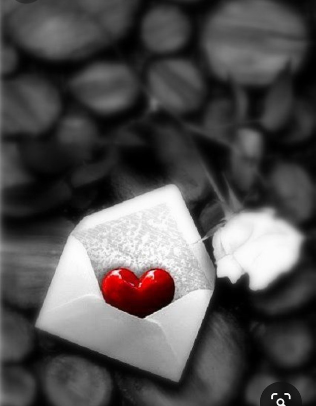 Screenshot_20240214_115232_Pinterest