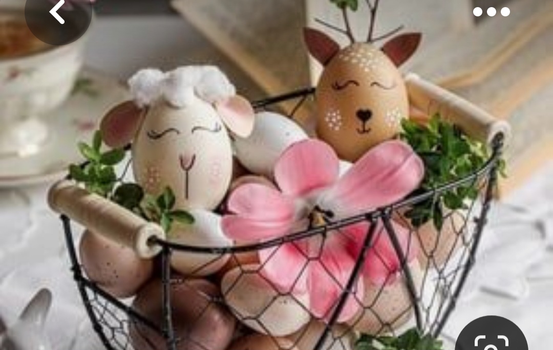 Screenshot_20230312_015559_Pinterest