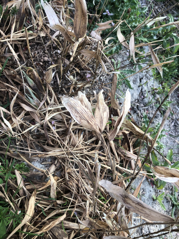 7346AF8A-7EA5-431A-8557-2795E62E029D