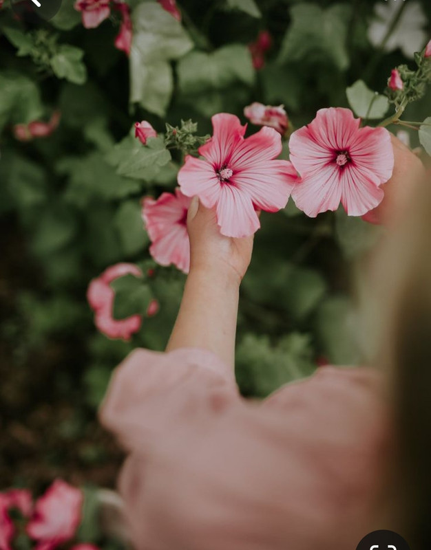 Screenshot_20240209_212303_Pinterest