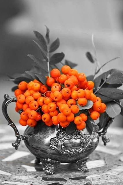 orangeandsilver.jpg