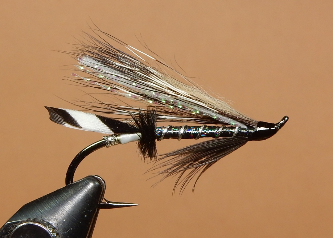 The-Zebra-1080.jpg