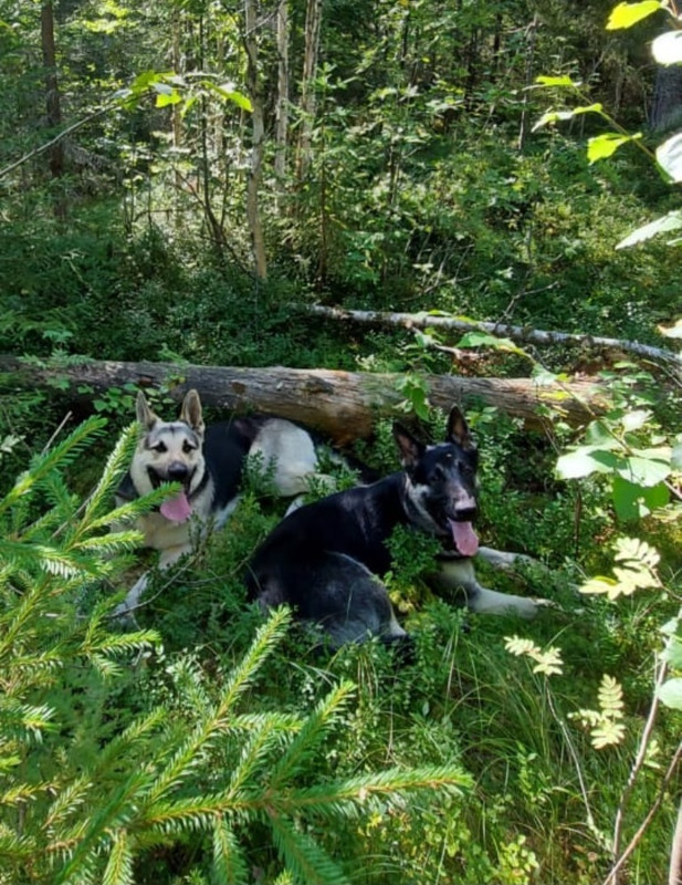 C30KP7ScsCCNC4ZdSiVuTksnPQtN_sRmiZbePnq-rlZHZsQe7YjqDQC9Iakv_PIZlBeEOmENmVcIRoWnxbvEg-Cv