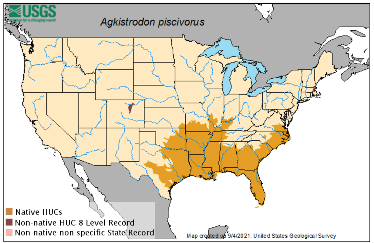 Screen Shot 2021-09-17 at 12.56.22 PM