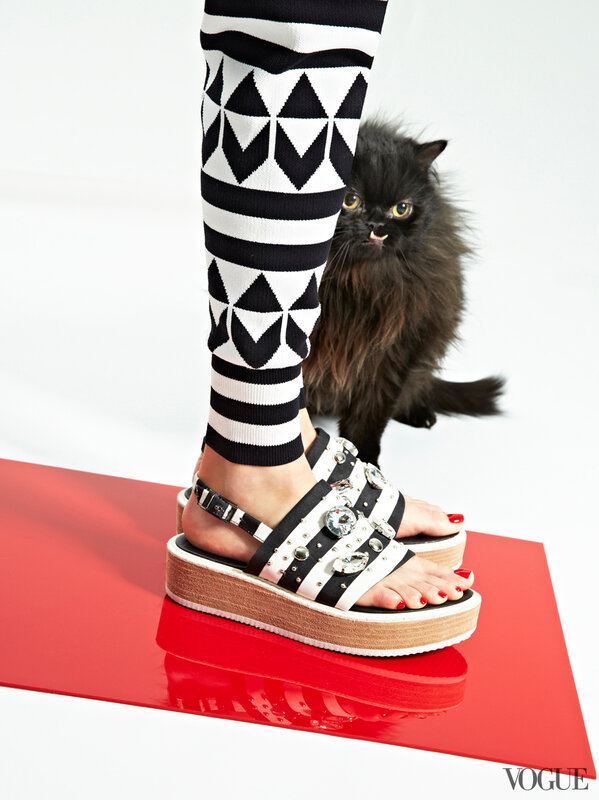 cats-kittens-flats-shoes-06-17272970411