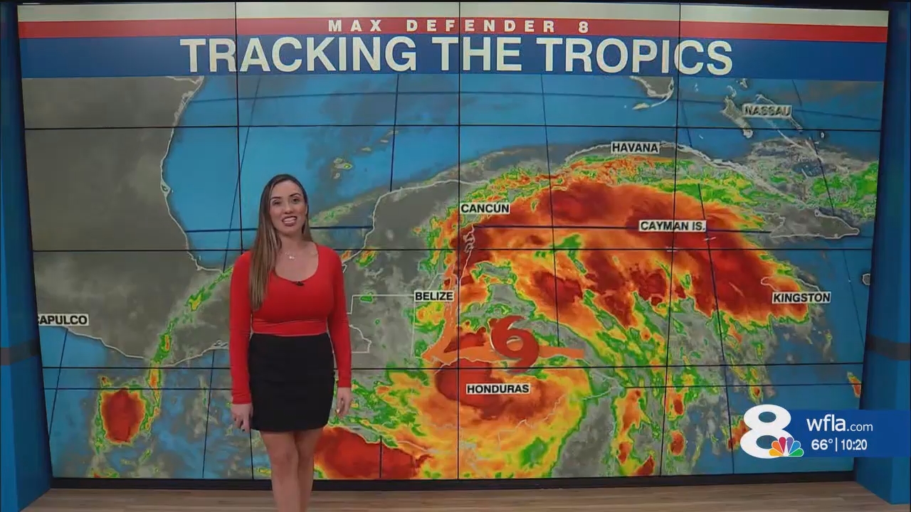 NewsChannel 8 News at 1000pm_20241116_03000330.ts_snapshot_20.56.725