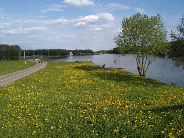 IMG-20170523-WA0061_1496558579658