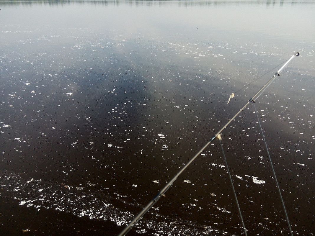 Н. Муллы 13.06.2016 05
