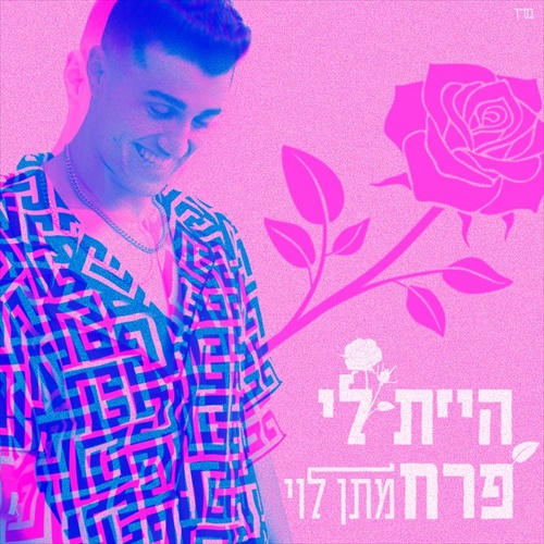 תמונה