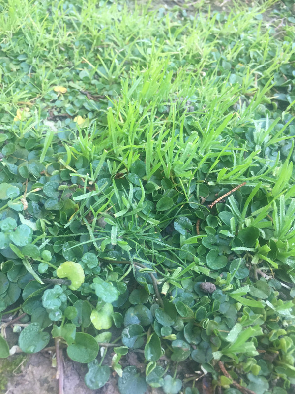 1DD80000-CF3A-4F3E-BAA5-C0B641F65DEB