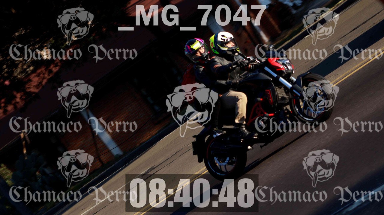 MUESTRA MG 7047 — Postimages