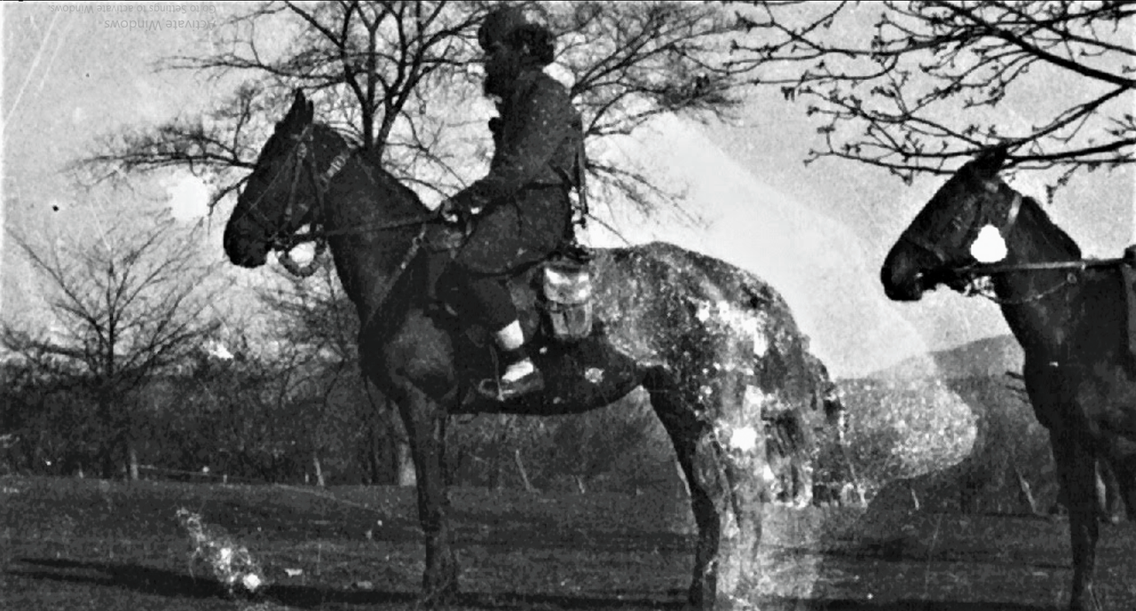 [Слика: Screenshot-2.png]