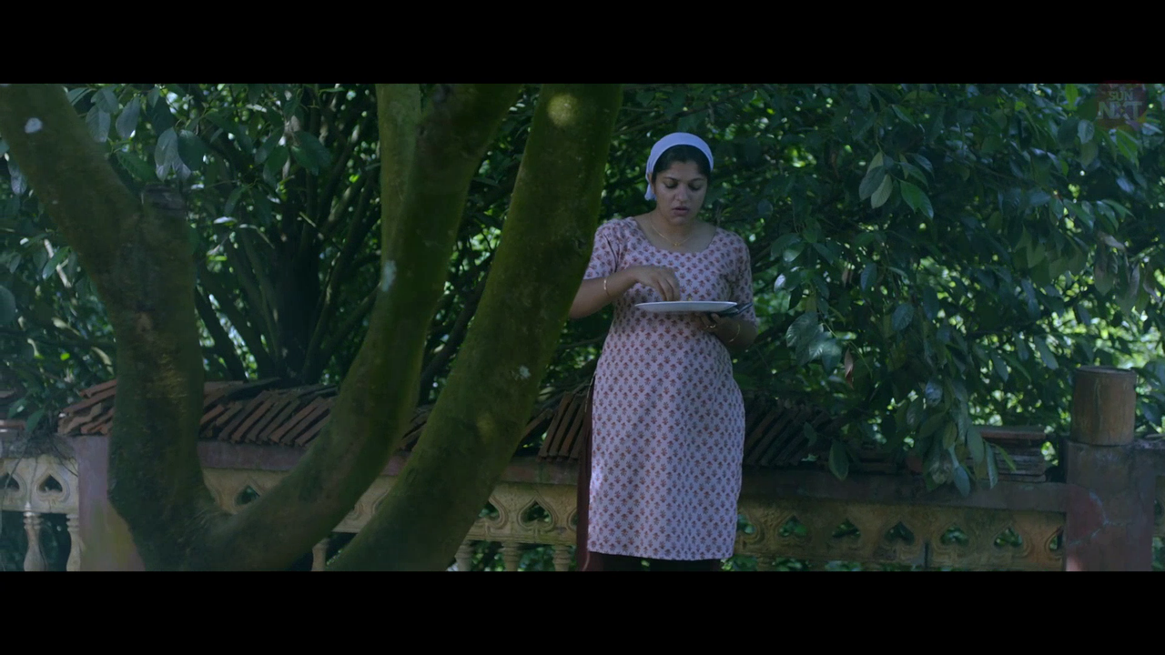 vlcsnap 2026 02 11 15h44m12s863