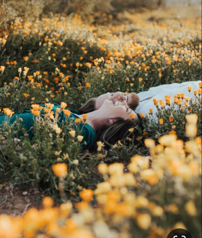 Screenshot_20240404_203410_Pinterest