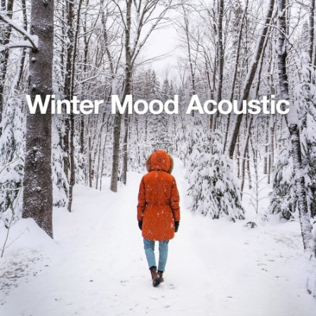 VA - Winter Mood Acoustic (2021)