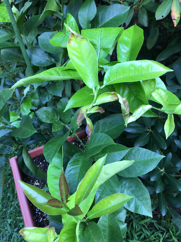 EEB178BE-6F02-4F14-8C9B-9B6B1FD565A1