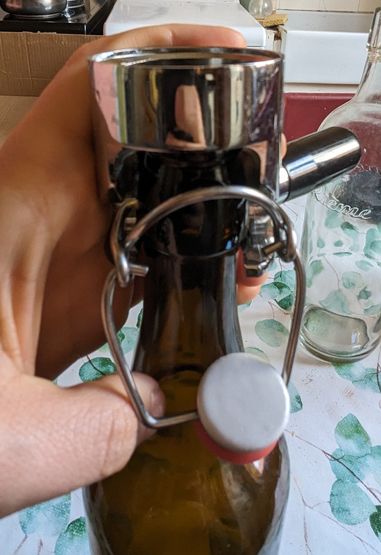 PXL_20240507_091744381