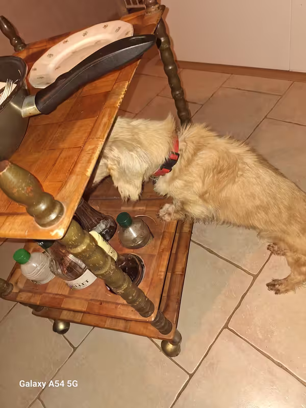 [Image: 20241026-213939.avif]