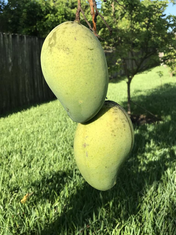 BCE9445D-5CFE-4CE3-B73D-7F223FD2CD1C