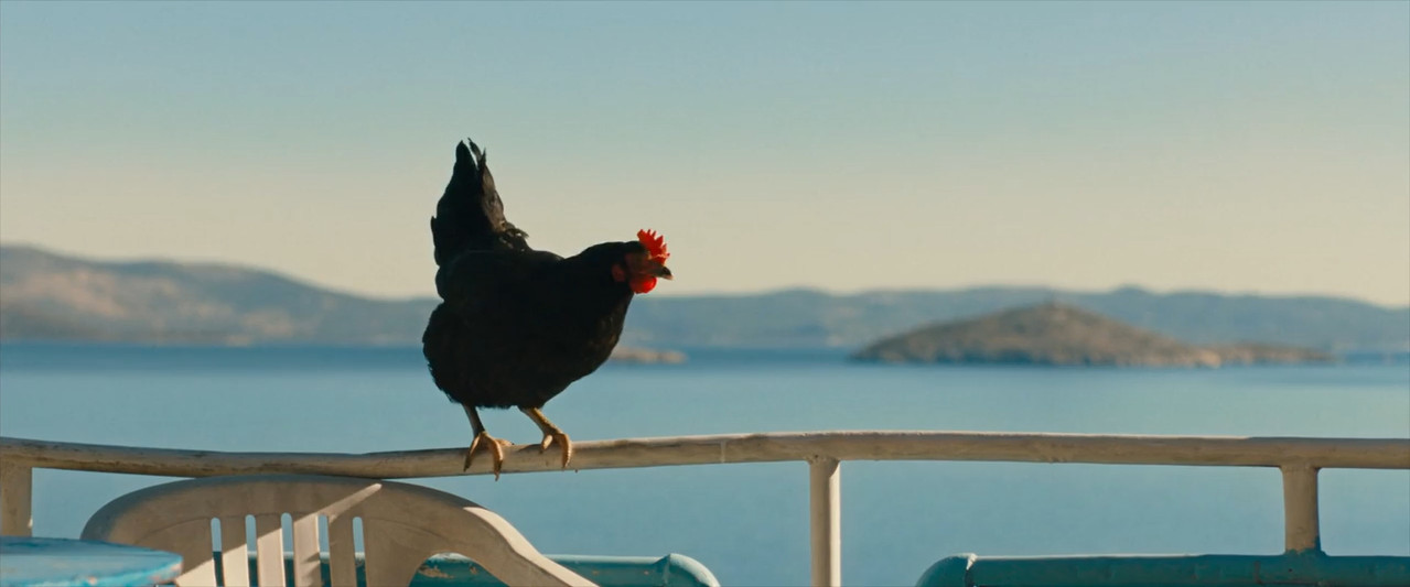 Hen 2025 WebRip [Hindi + Tamil + Telugu + English] 480p 720p ESub Screenshot